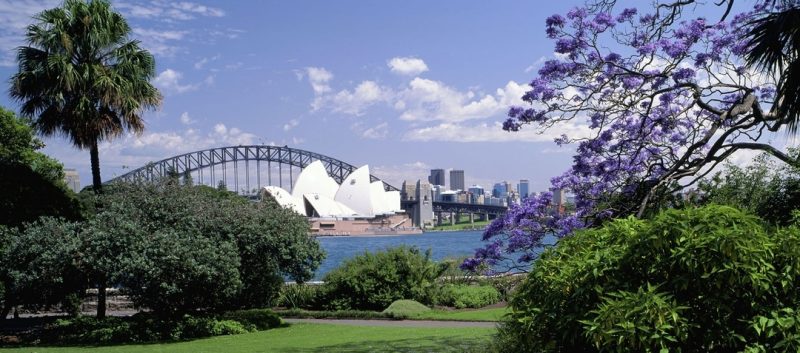 Royal Botanic Garden Sydney - Near the Main Pond