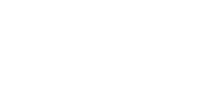 Tinkerbell and the Dream Fairies
